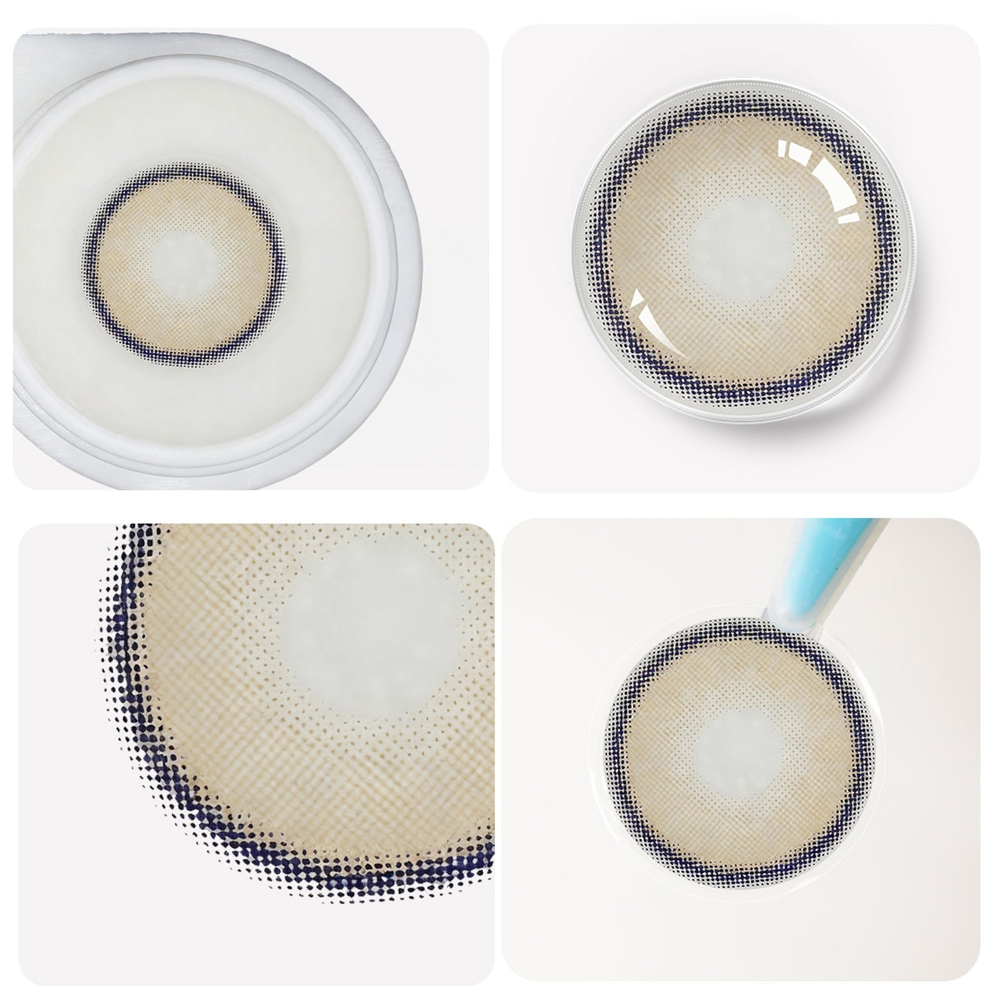 Braune Jahreslinsen detaillierte Ansicht