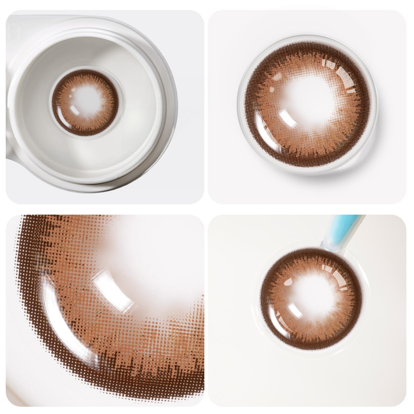 Jahreslinsen Chocolate braun dtailansicht