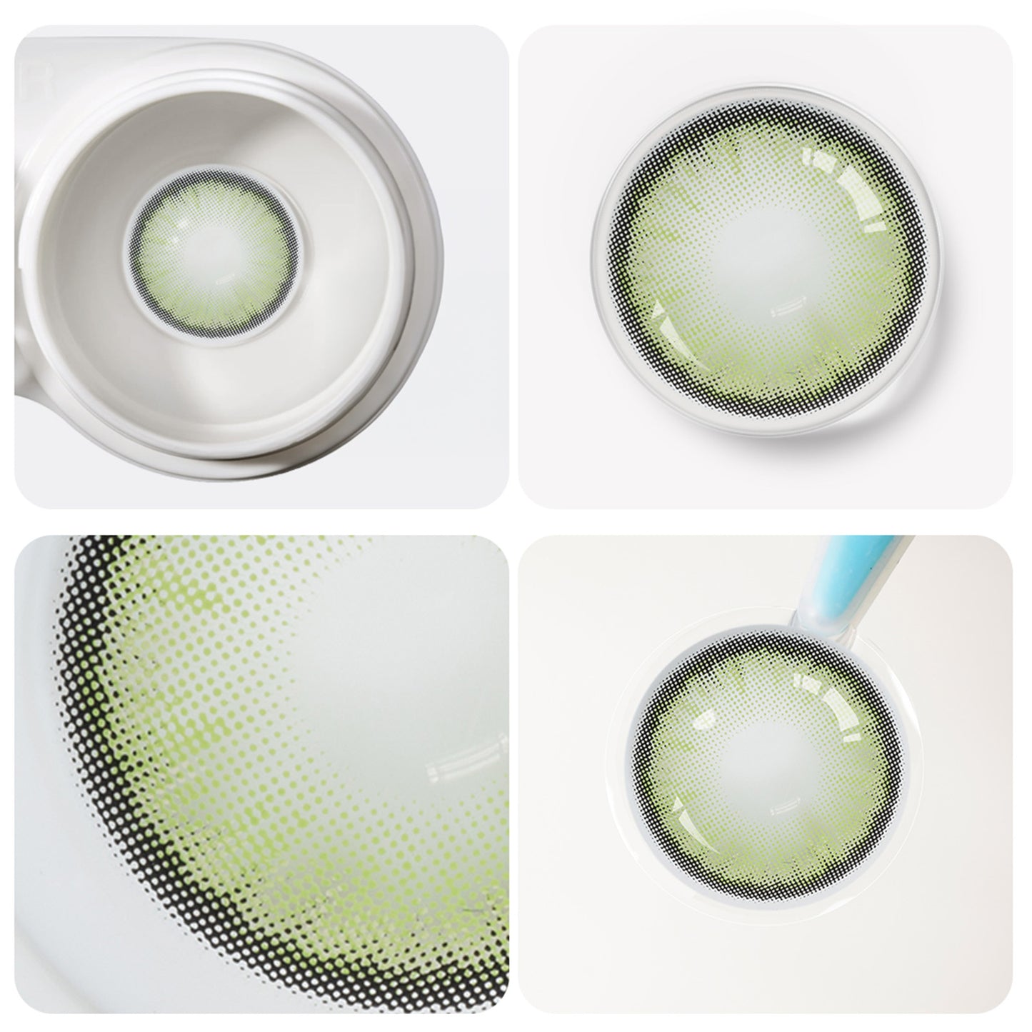 Jahreslinsen dawn green detailansicht