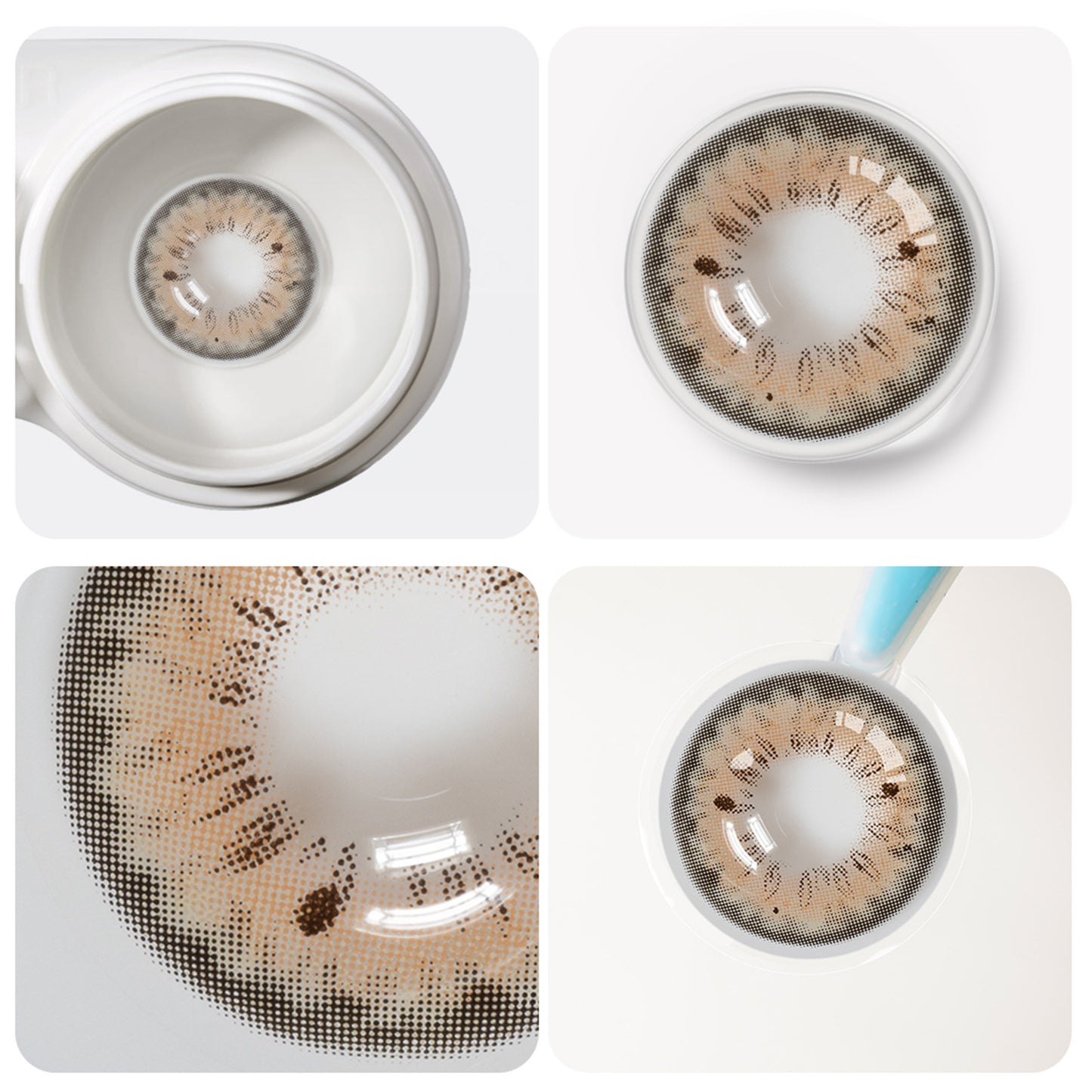 Jahreslinsen halia Brown detaillierte Ansicht