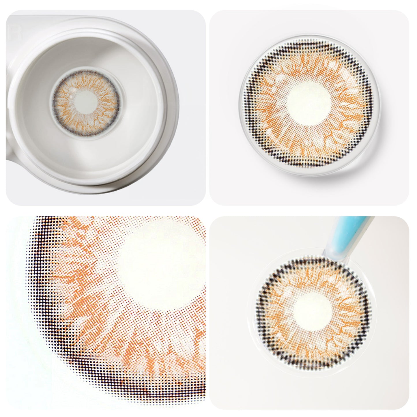 Jahreslinsen flirting braun detailansicht