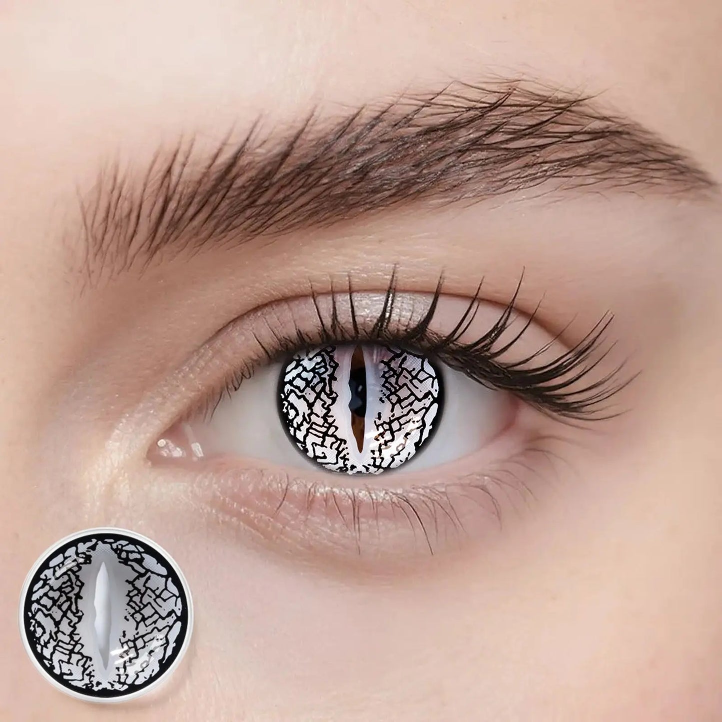 Fantasy Kontaktlinsen – Lizard Eye Sliver – Jahreslinsen – DIA 14.5 mm | Freshlens Freshlens