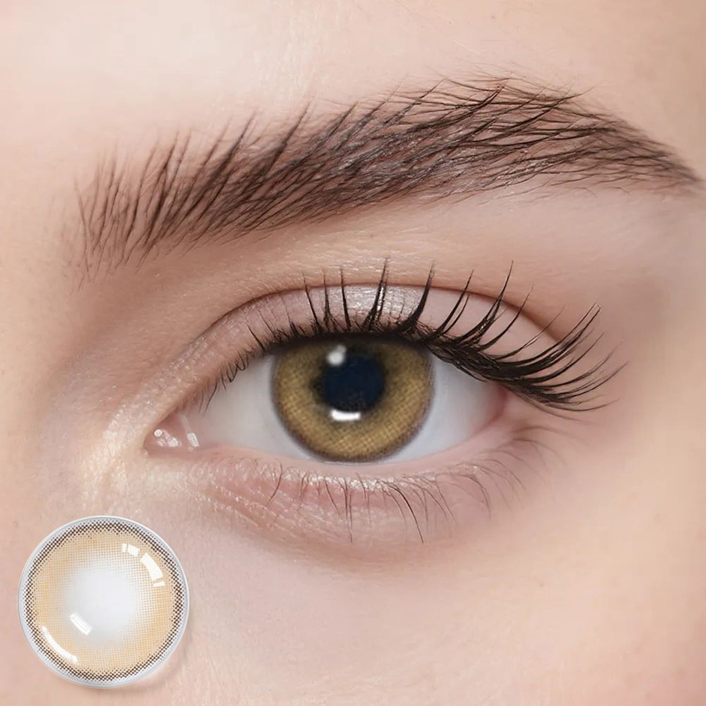 Farbige Kontaktlinsen – Bassia Brown – Jahreslinsen – DIA 14 mm | Freshlens