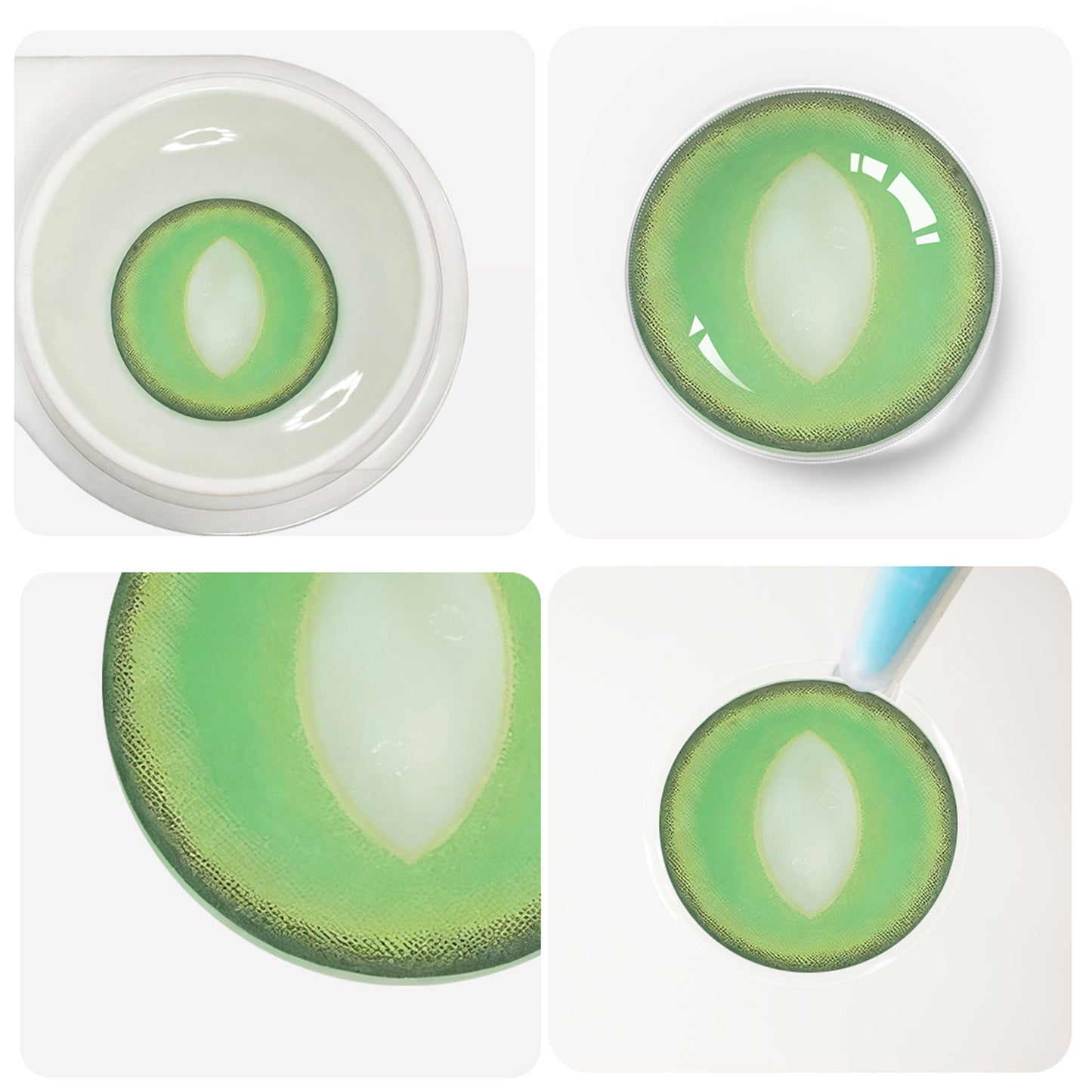 Fantasy Kontaktlinsen – British Shorthair Green – Jahreslinsen – DIA 14.5 mm | Freshlens