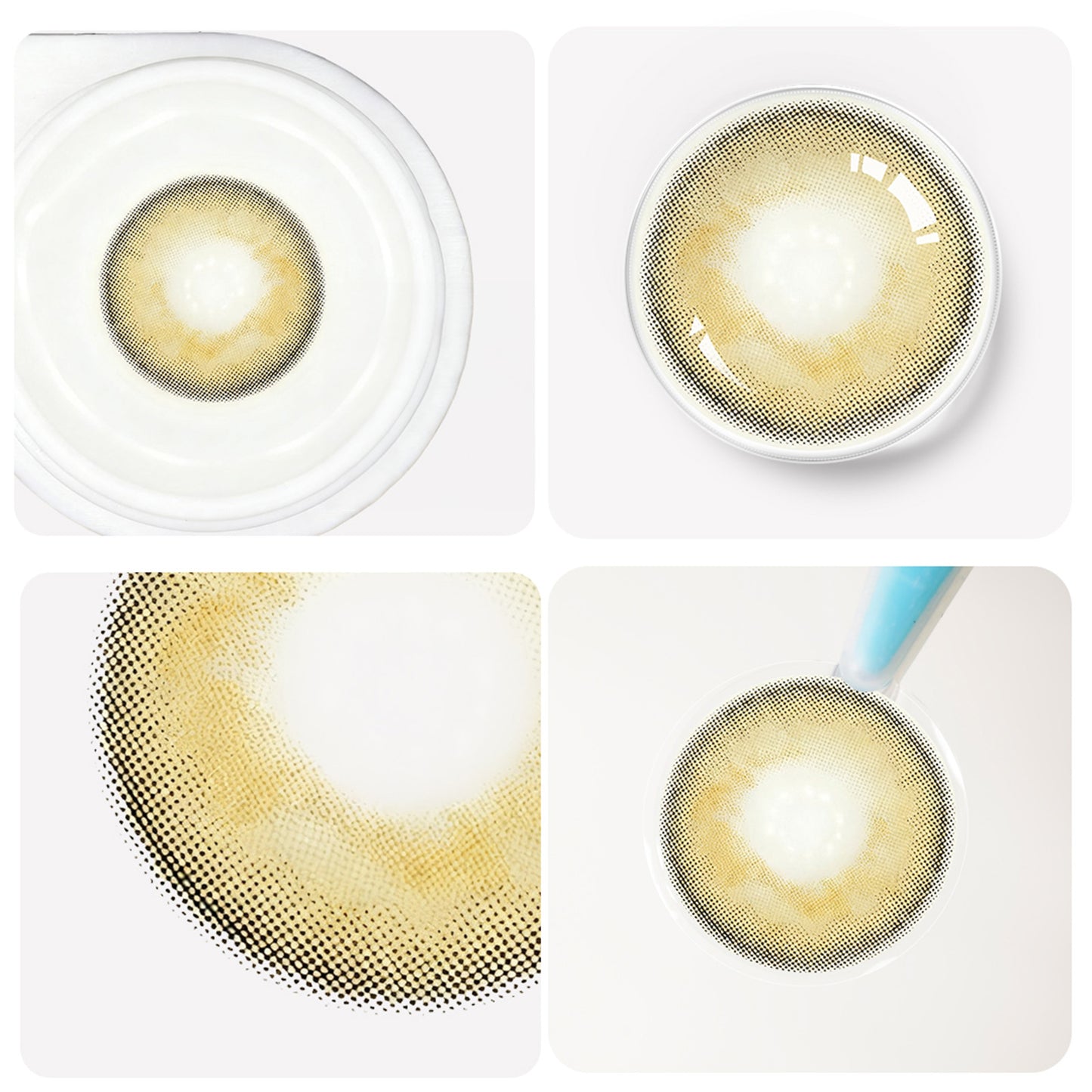 Cyprus Ela Jahreslinsen deatilierte Ansicht