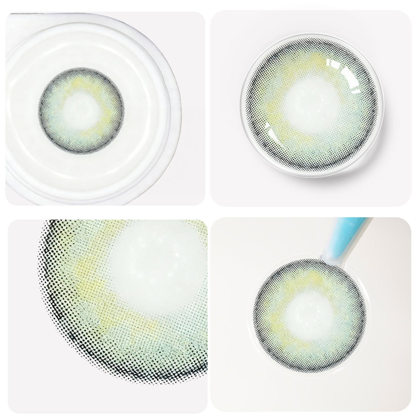 Cyprus grüne Jahreslinsen detaillierte Ansicht