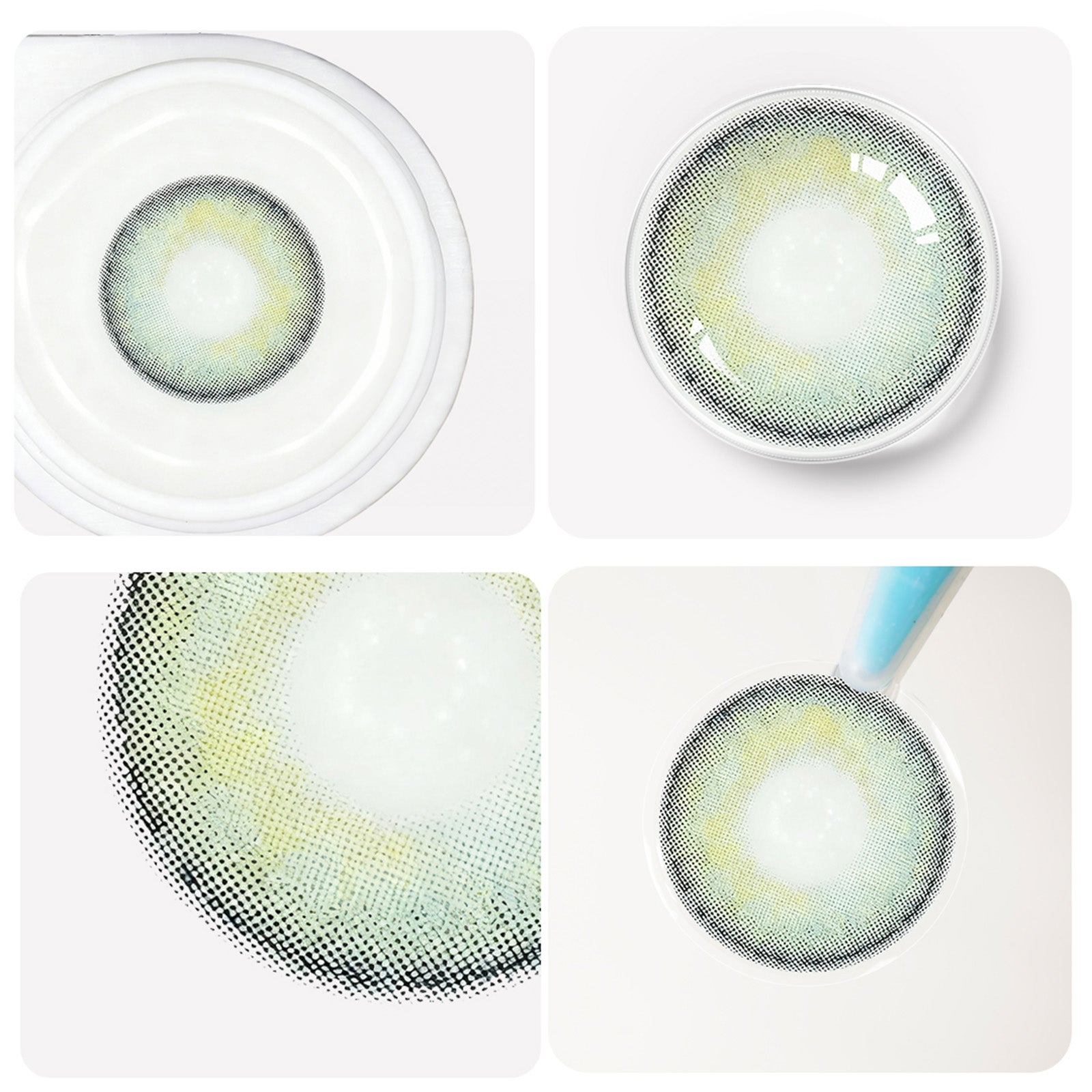 Cyprus grüne Jahreslinsen detaillierte Ansicht