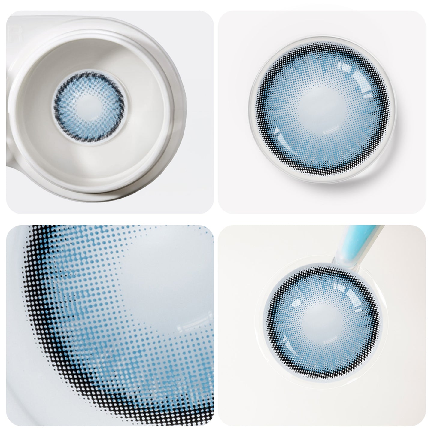 Jahreslinsen Dawn Blue Detailansicht