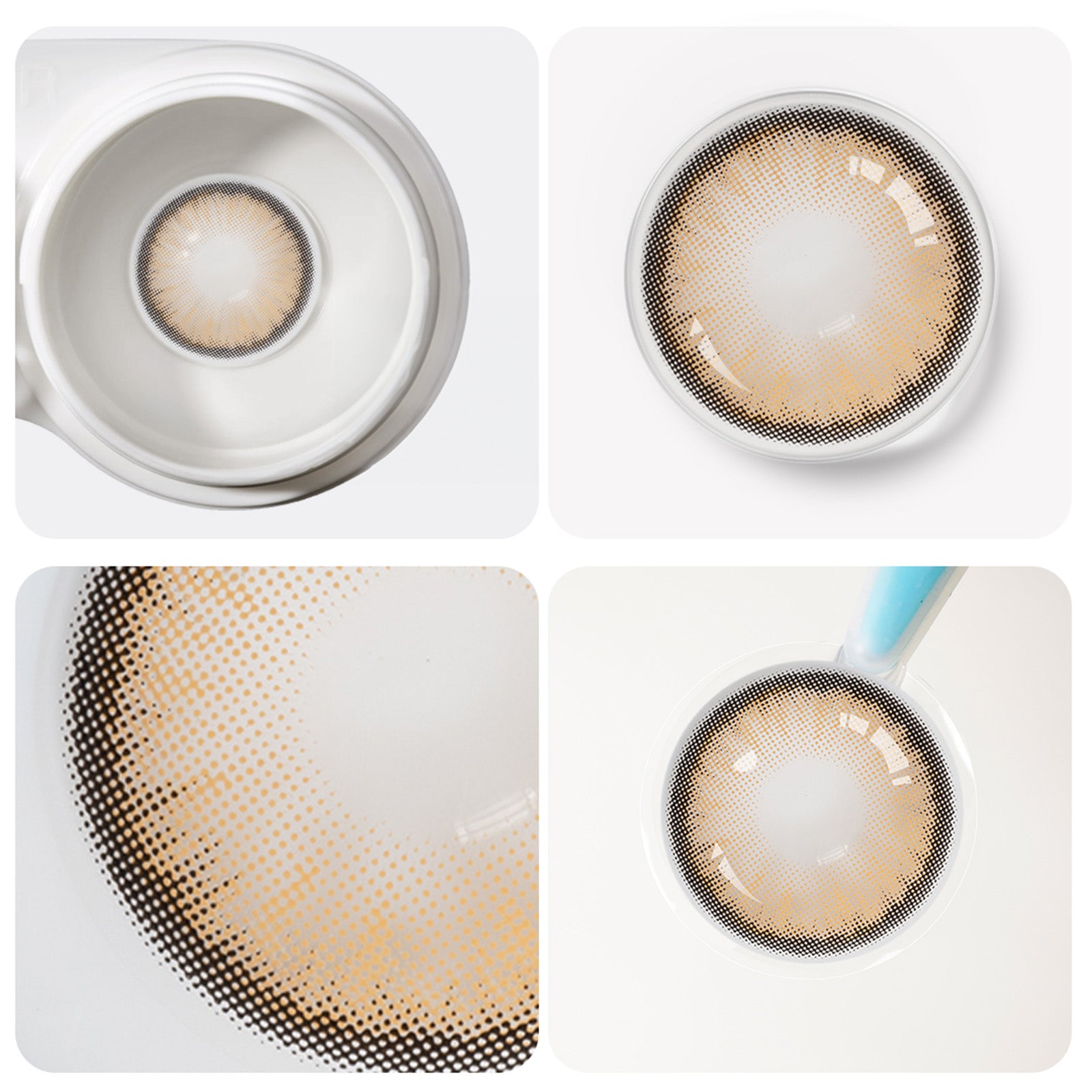 Jahreslinsen dawn brown detailansicht