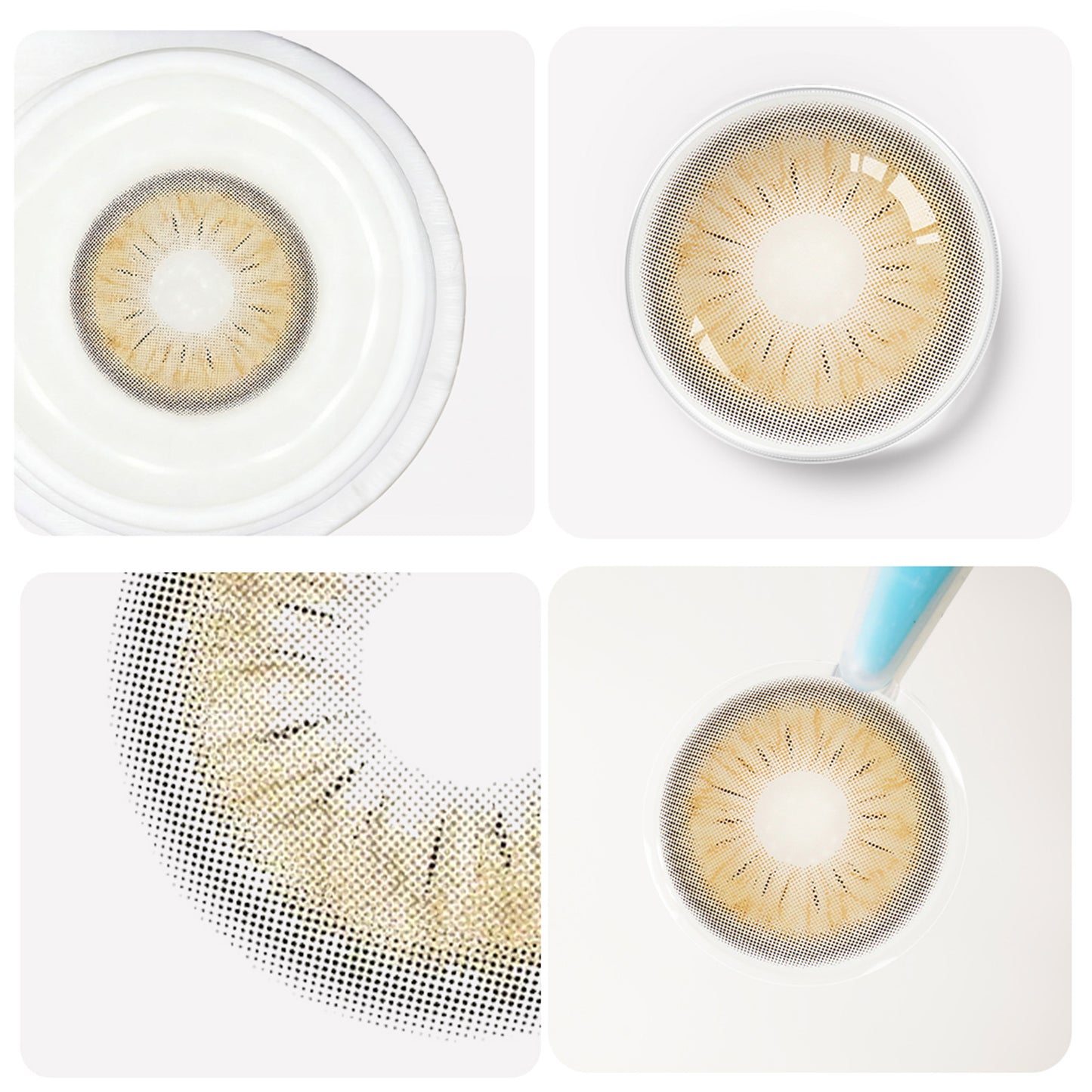 Jahreslinsen Forest brown detailansicht