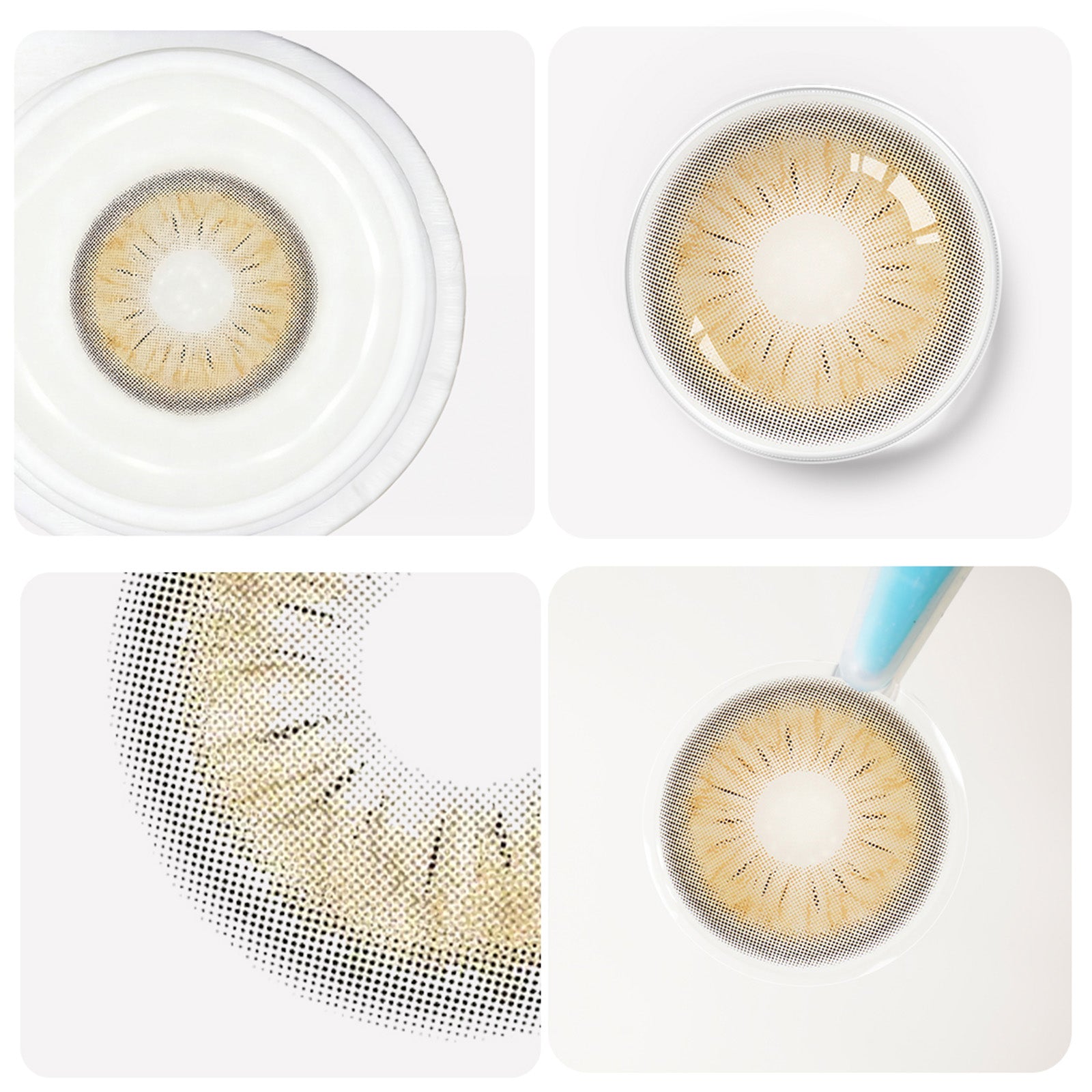 Jahreslinsen Forest brown detailansicht