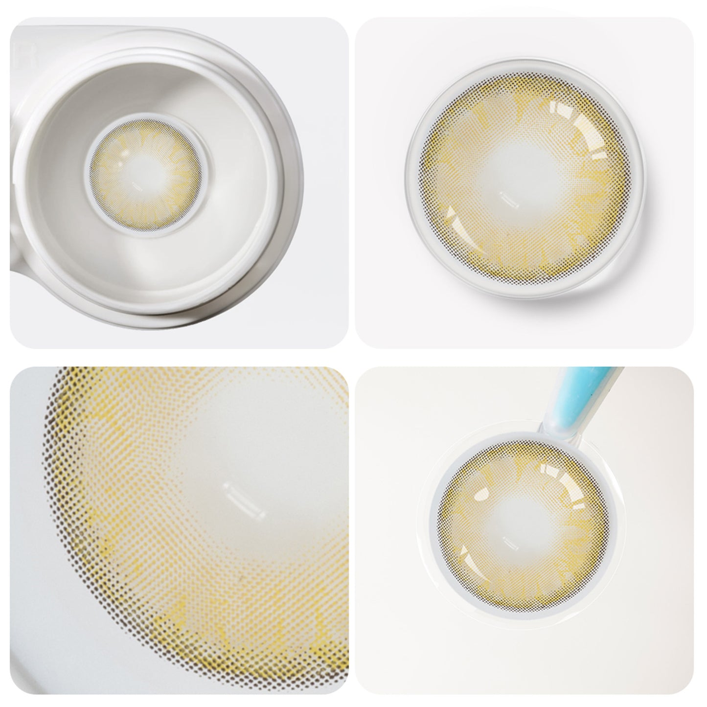 Jahreslinsen Grün-Braun detaillierte Ansicht