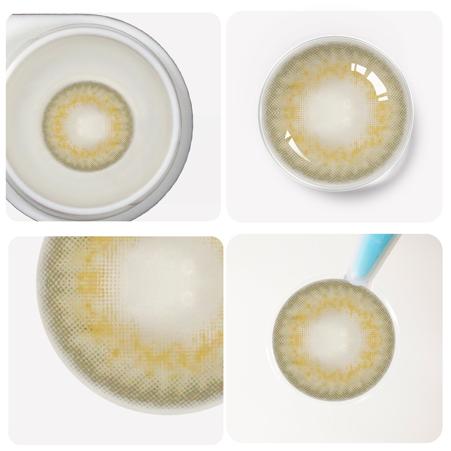 Jahreslinsen Hasselnuss Brau Detail Bild