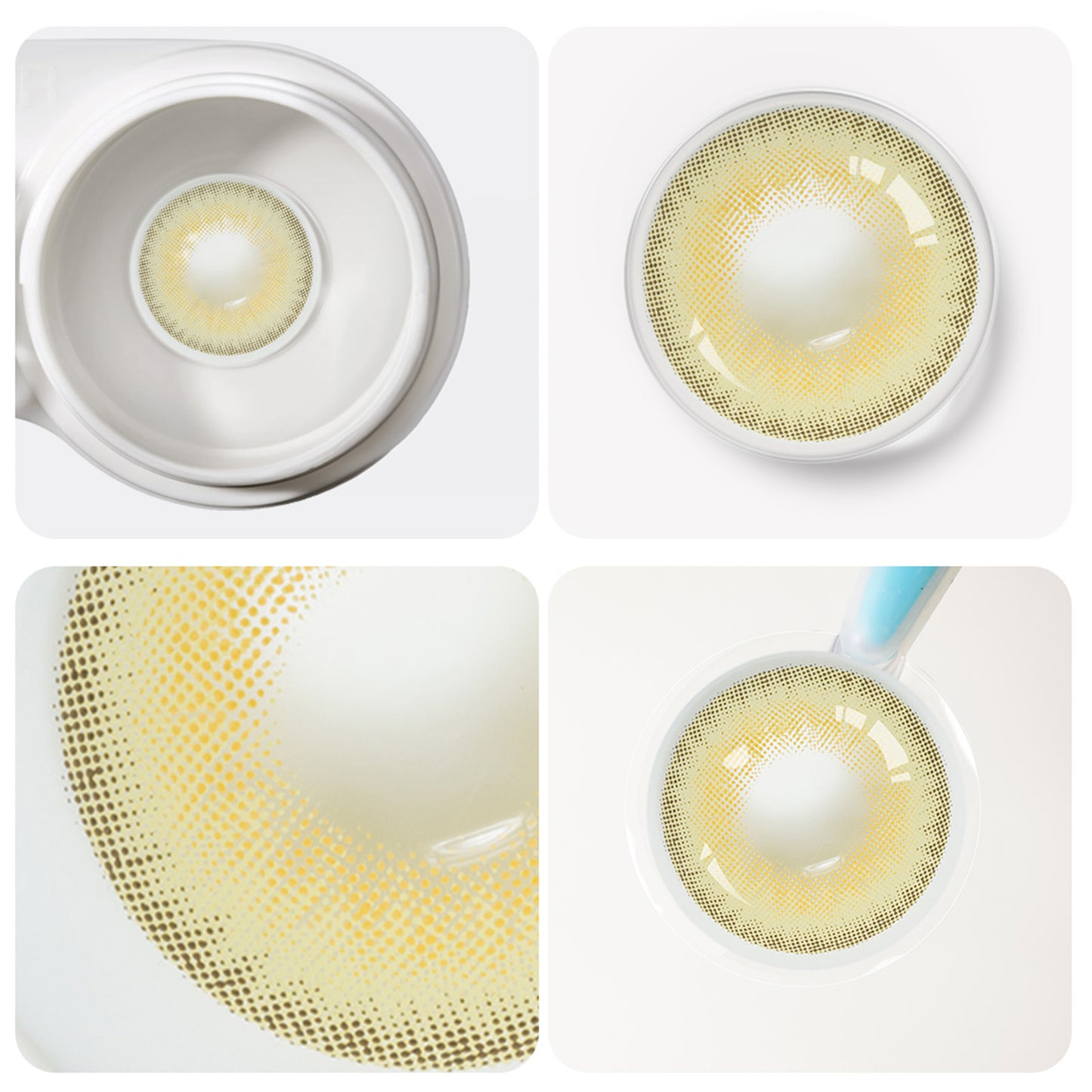 Jahreslinsen Braun Detail Ansicht