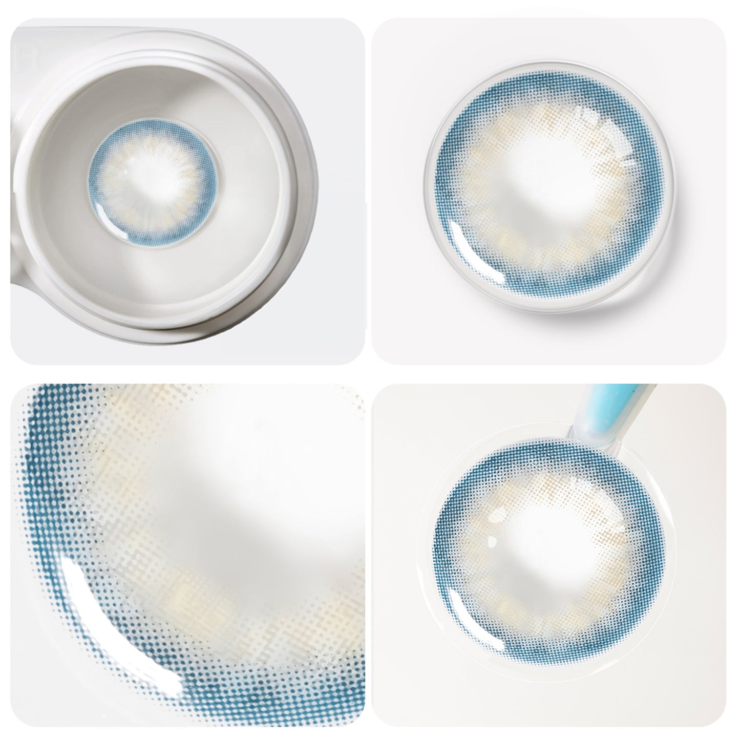 Jahreslinsen Taylor Blau datailierte Ansicht