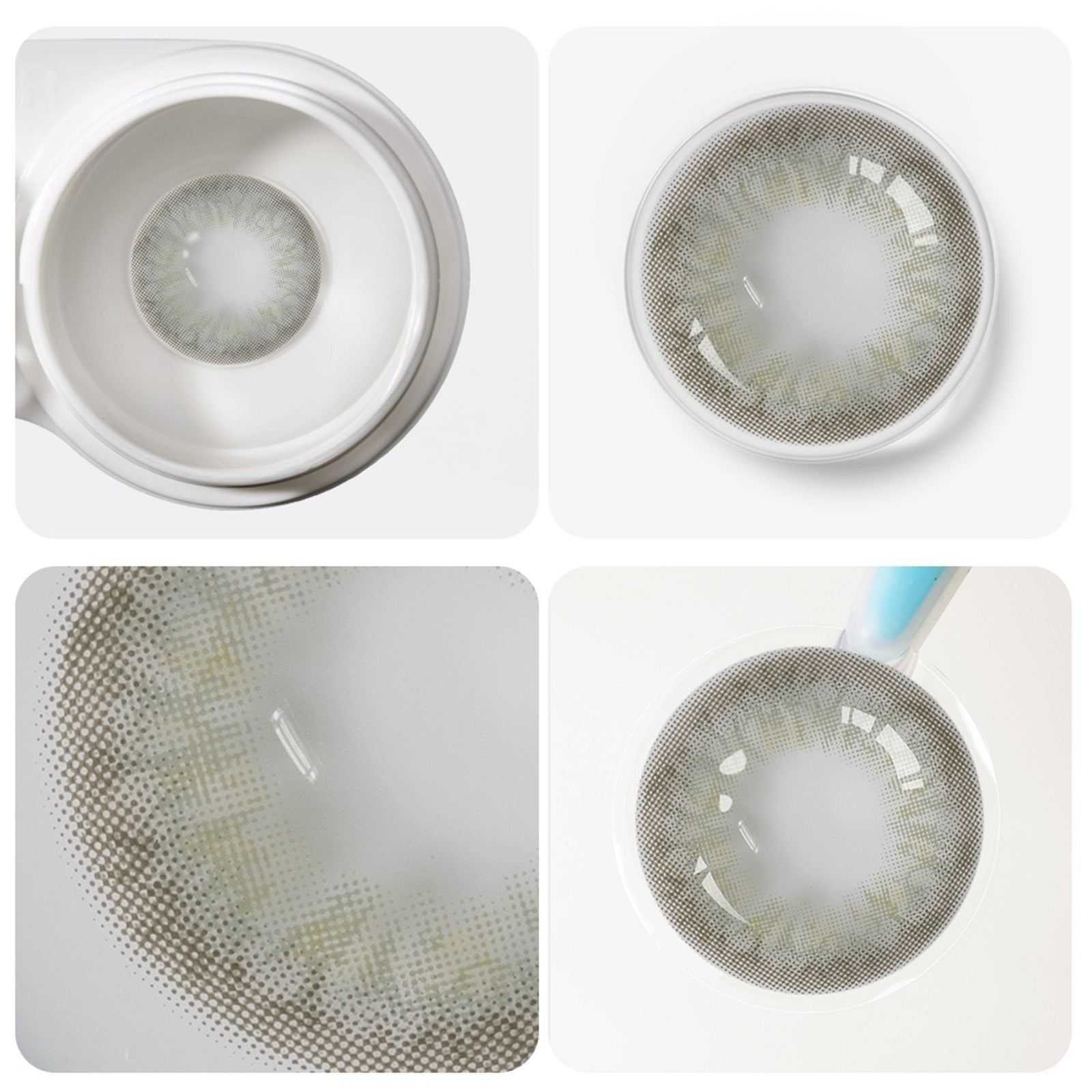 Taylor Grüne Jahreslinsen detailierte Ansicht