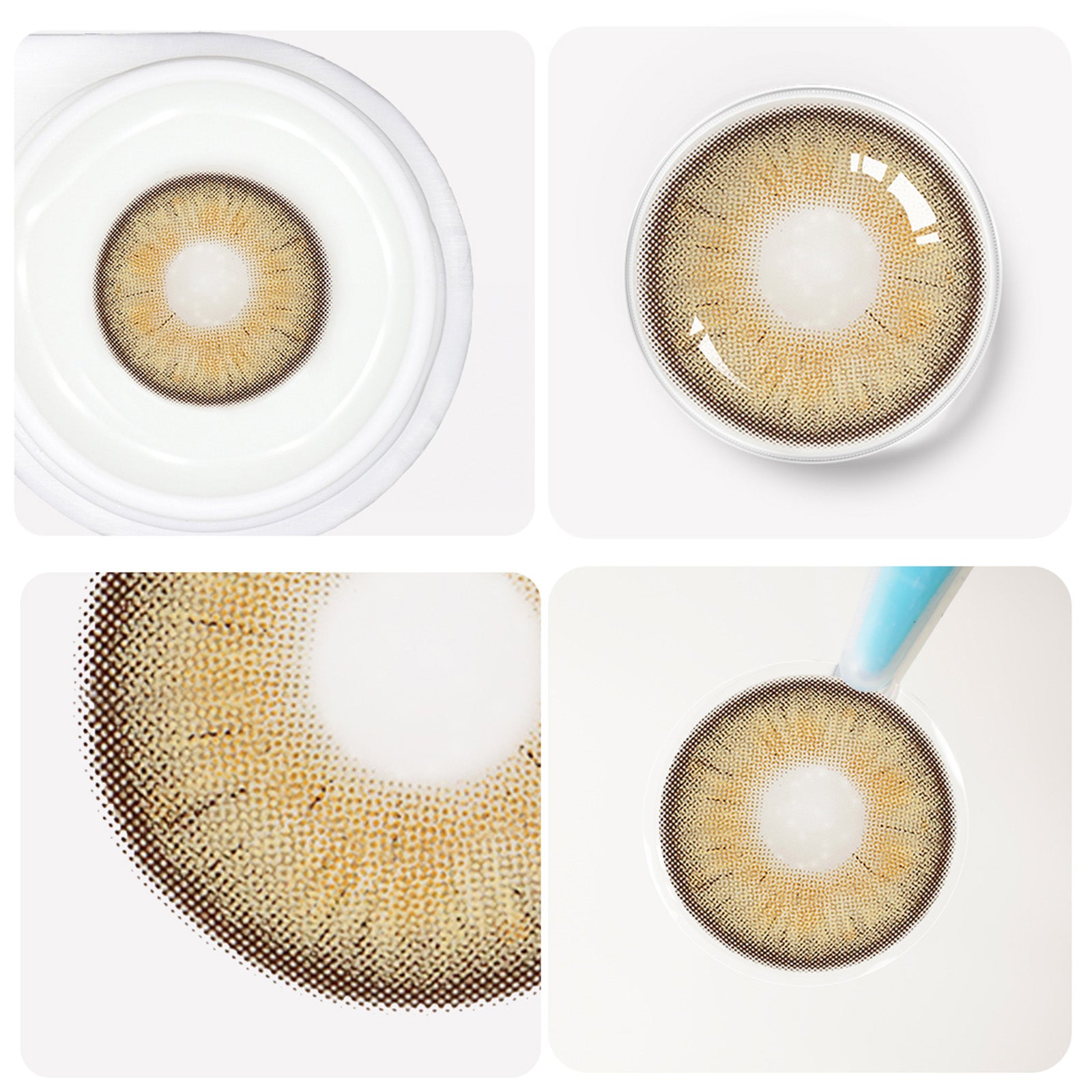 Jahreslinsen twilight detailansicht