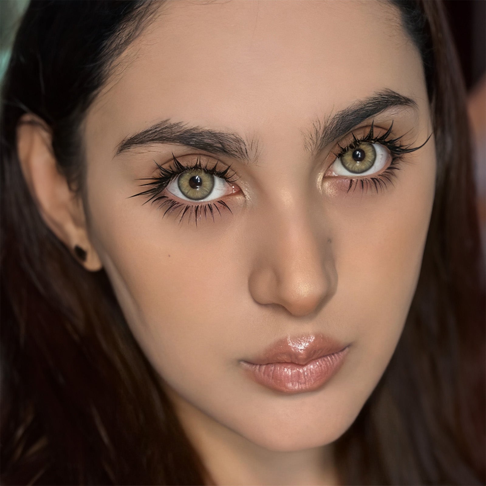 Jahreslinsen twilight model ansicht